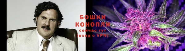 дурь Арсеньев