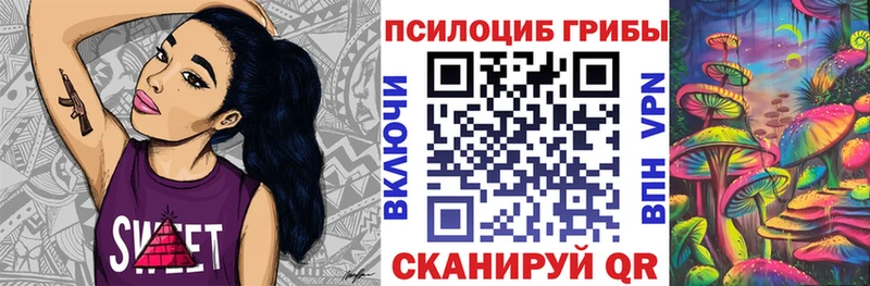 купить   Ахтубинск  Псилоцибиновые грибы Psilocybine cubensis 